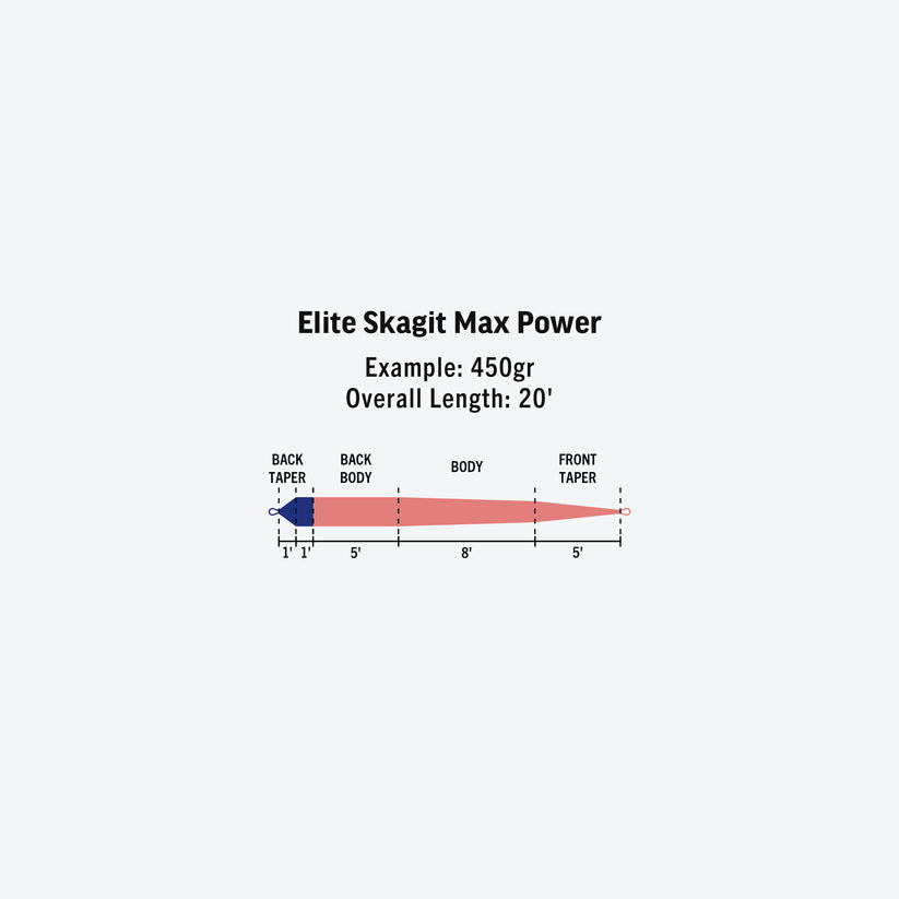Rio Elite Skagit Max Power